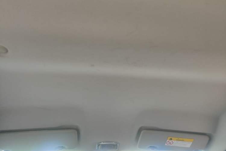 Used Dongfeng NAMMI EX1 2022 PRO Enjoyment Model Headliner