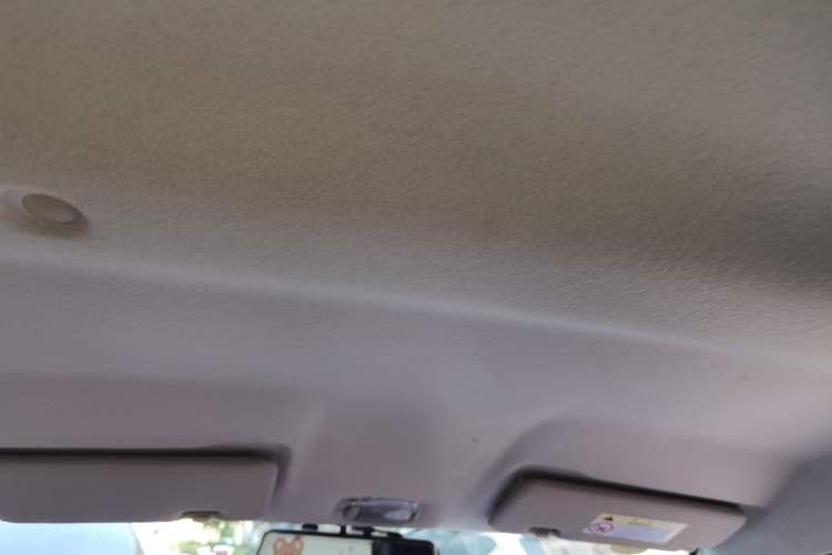 Used Dongfeng NAMMI EX1 2022 PRO Joyful Edition Headliner