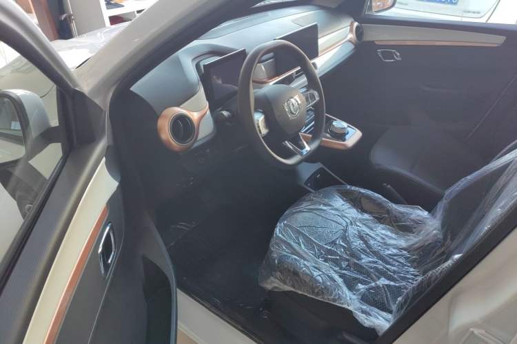 Used Dongfeng NAMMI EX1 2022 PRO Joyful Edition Interior 4