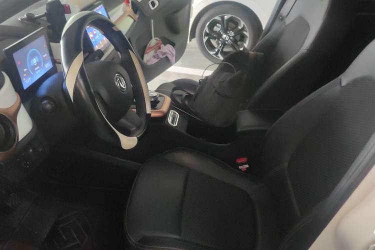 Used Dongfeng NAMMI EX1  Left Front Seat