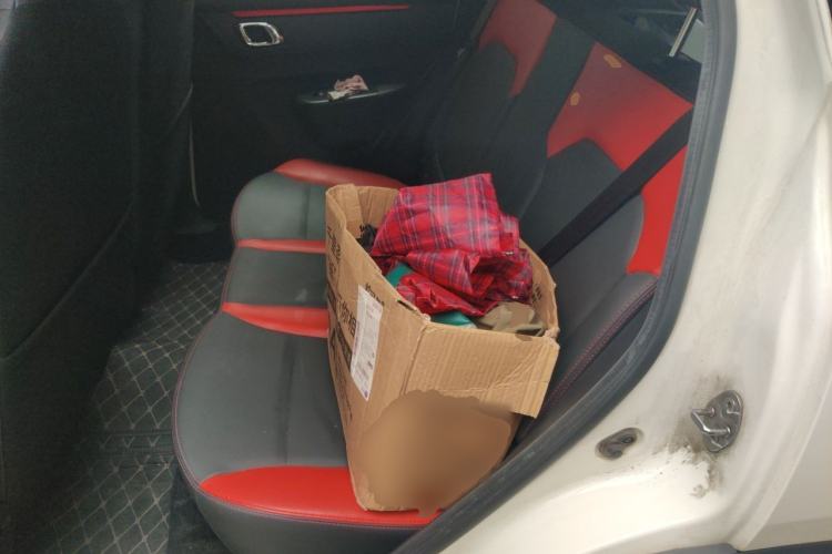 Used Dongfeng NAMMI EX1 2022 Revised PRO Yuecheng Version Left Rear Seat