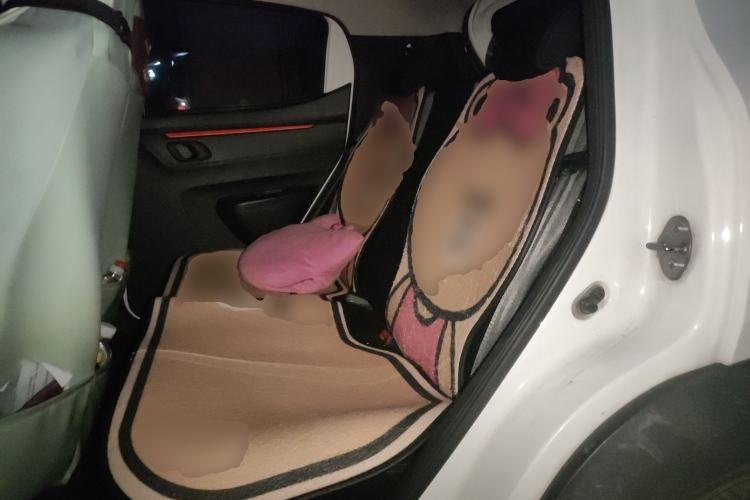 Used Dongfeng NAMMI EX1 2022 Revised PRO Enjoyment Version Left Rear Seat