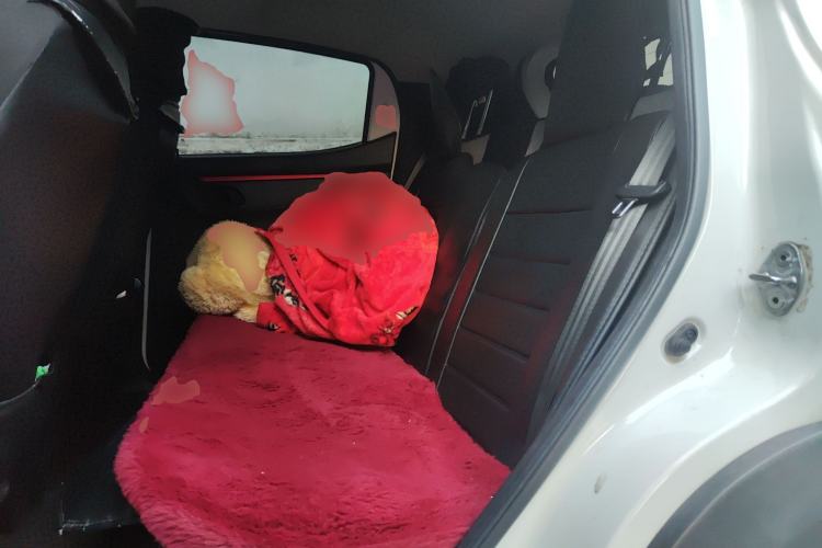 Used Dongfeng NAMMI EX1 2022 PRO Enjoyment Model Left Rear Seat