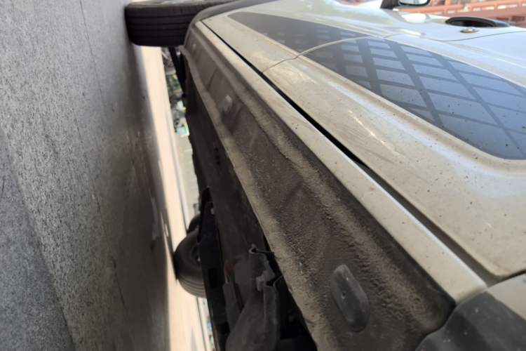 Used Dongfeng NAMMI EX1 2022 Revised PRO YueShi Version Left Side Sill