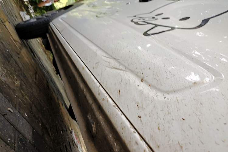 Used Dongfeng NAMMI EX1 2022 Revised PRO Enjoyment Version Right Side Sill