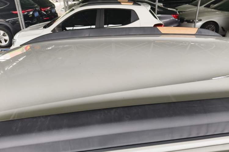 Used Dongfeng NAMMI EX1 2022 Revised PRO YueShi Version Roof
