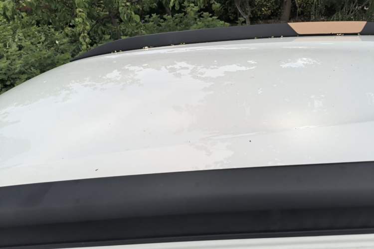 Used Dongfeng NAMMI EX1 2022 Revised PRO YueShi Version Roof