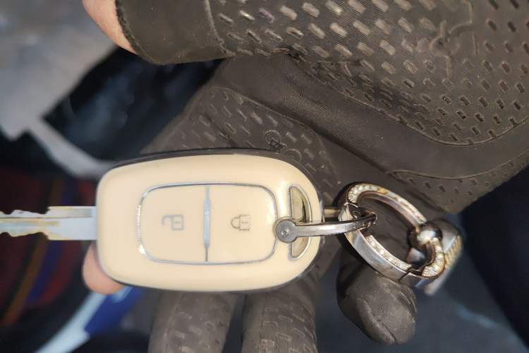 Used Dongfeng NAMMI EX1 2022 PRO Enjoyment Model Vehicle Key