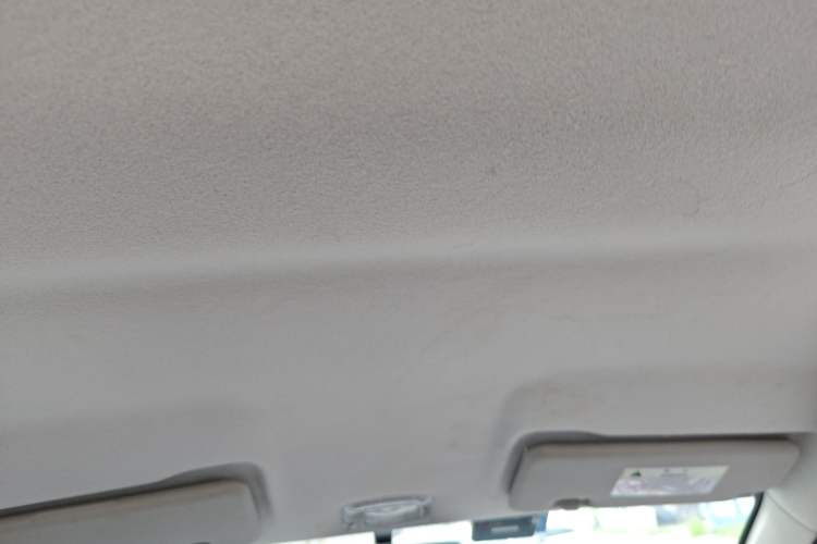Used Dongfeng NAMMI EX1 2023 PRO Light Wind Edition Lightning Model Headliner