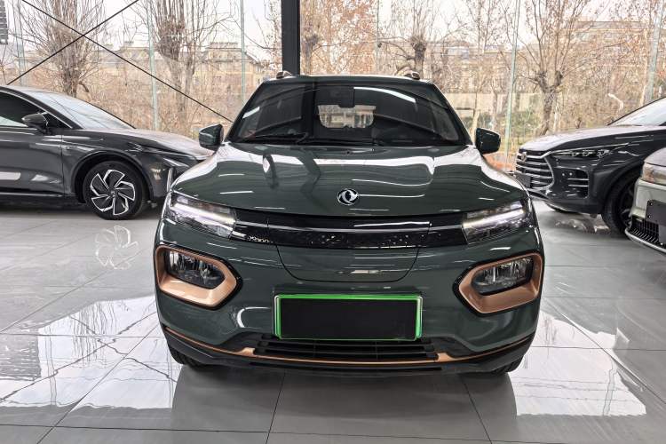 Used Dongfeng NAMMI EX1 2023 PRO Light Wind Edition Lightning Model Exterior 2