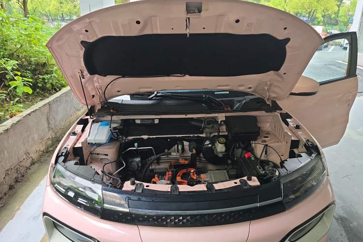 Used Dongfeng NAMMI EX1 2023 PRO Light Wind Edition Lightning Model Engine Bay