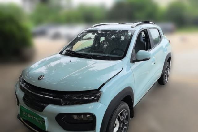 Used Dongfeng NAMMI EX1 2023 PRO Light Wind Edition Lightning Model