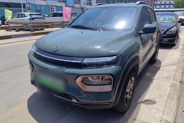 Used Dongfeng NAMMI EX1 2023 PRO Light Wind Edition Lightning Model