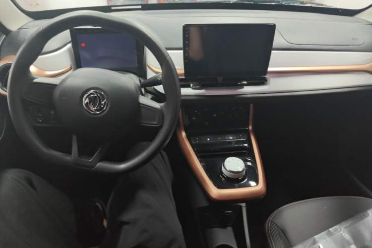 Used Dongfeng NAMMI EX1 2023 PRO Light Wind Edition Lightning Model Center Console