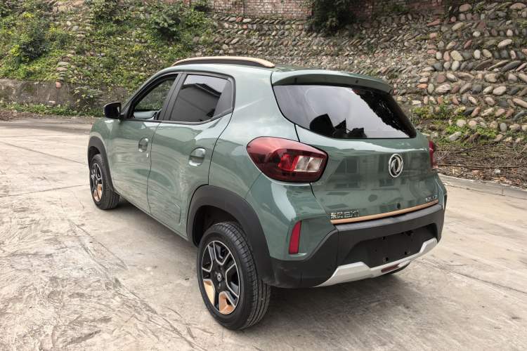 Used Dongfeng NAMMI EX1 2023 PRO Light Wind Edition Lightning Model Exterior 5
