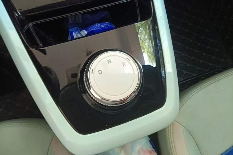 Used Dongfeng NAMMI EX1 2023 PRO Light Wind Edition Lightning Model Gear Lever