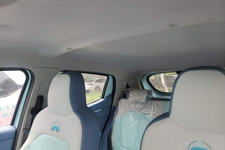Used Dongfeng NAMMI EX1 2023 PRO Light Wind Edition Lightning Model Headliner