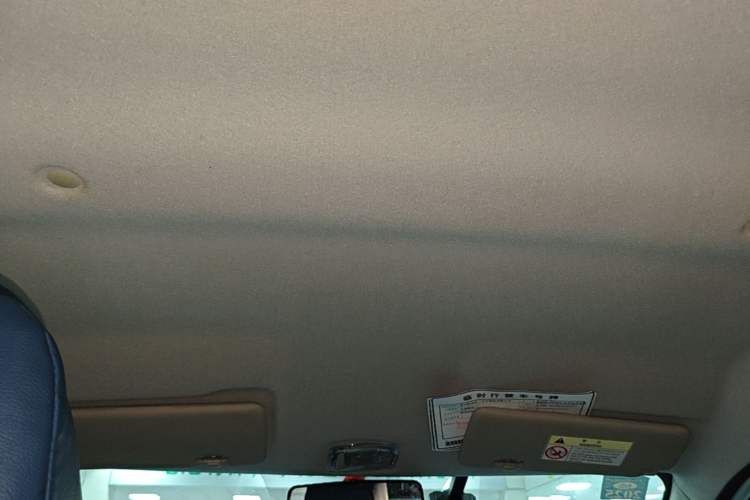 Used Dongfeng NAMMI EX1 2023 PRO Light Wind Edition Standard Model Headliner
