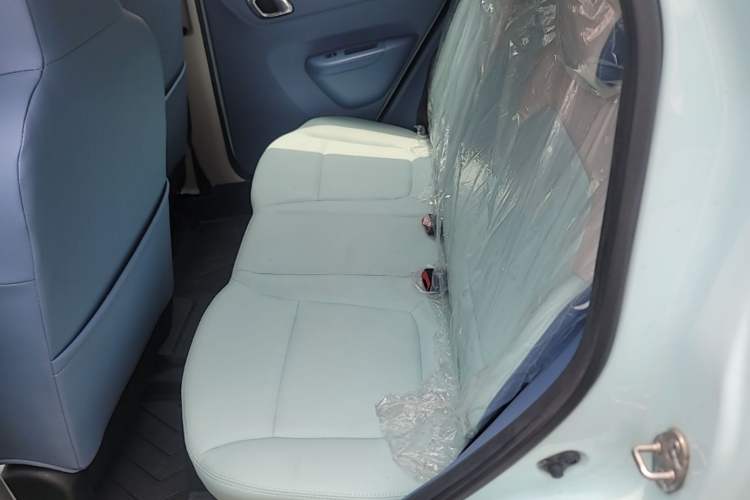 Used Dongfeng NAMMI EX1 2023 PRO Light Wind Edition Lightning Model Left Rear Seat
