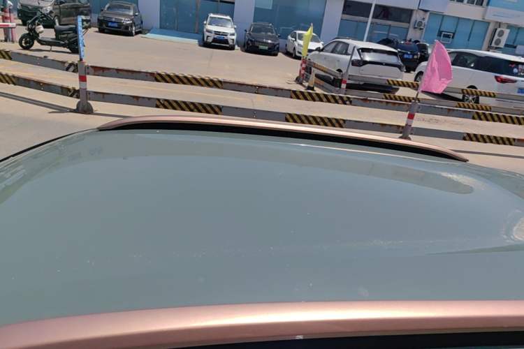 Used Dongfeng NAMMI EX1 2023 PRO Light Wind Edition Lightning Model Roof