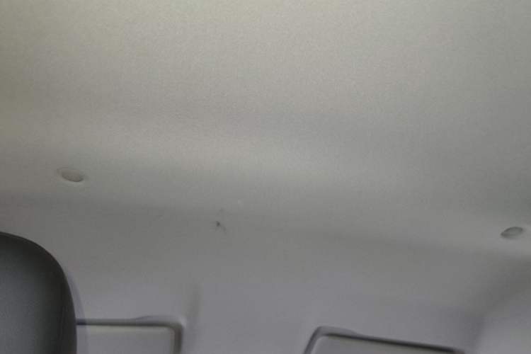 Used Dongfeng NAMMI EX1 2023 PRO Light Wind Edition Lightning Model Headliner
