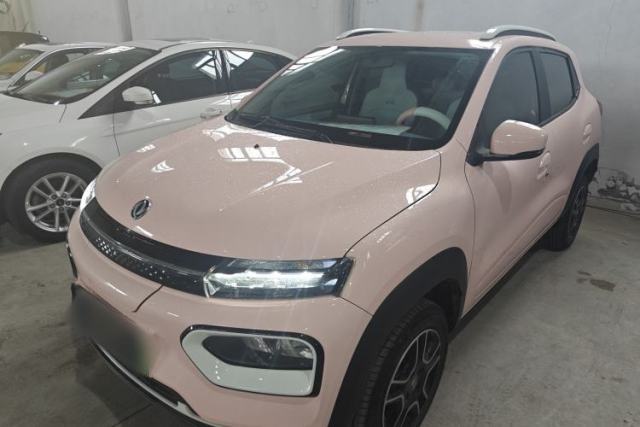 Ojetý Dongfeng NAMMI EX1 2023 PRO Light Wind Edition Lightning Model