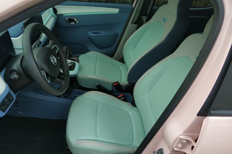Used Dongfeng NAMMI EX1 2023 PRO Light Wind Edition Lightning Model Left Front Seat