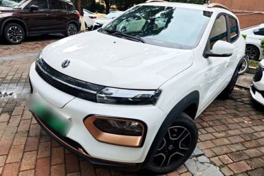 Used Dongfeng NAMMI EX1 2023 PRO Light Wind Edition Lightning Model