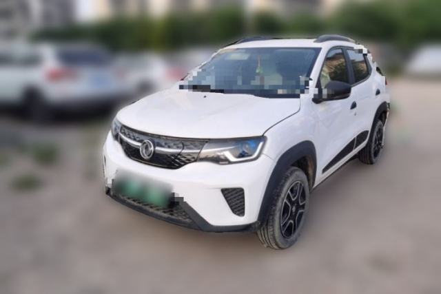 Used Dongfeng NAMMI EX1 2023 PRO Light Wind Edition Lightning Model
