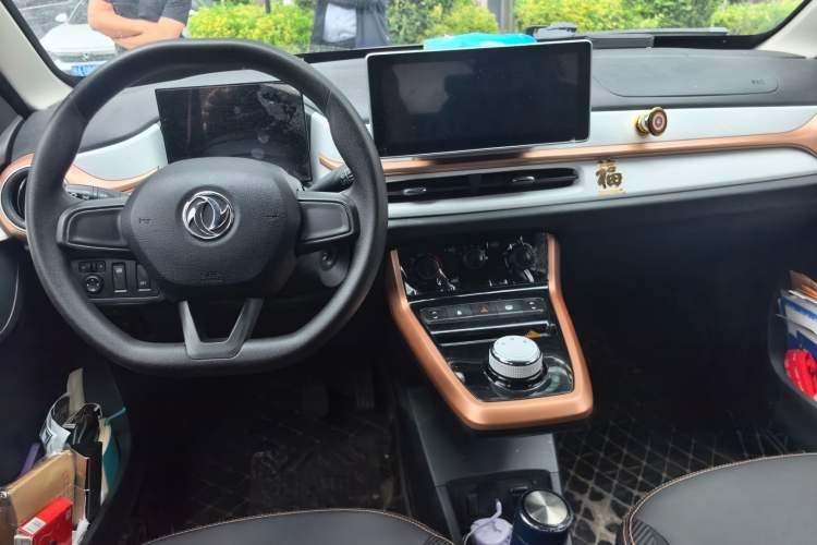 Used Dongfeng NAMMI EX1 2023 PRO Light Wind Edition Lightning Model Center Console