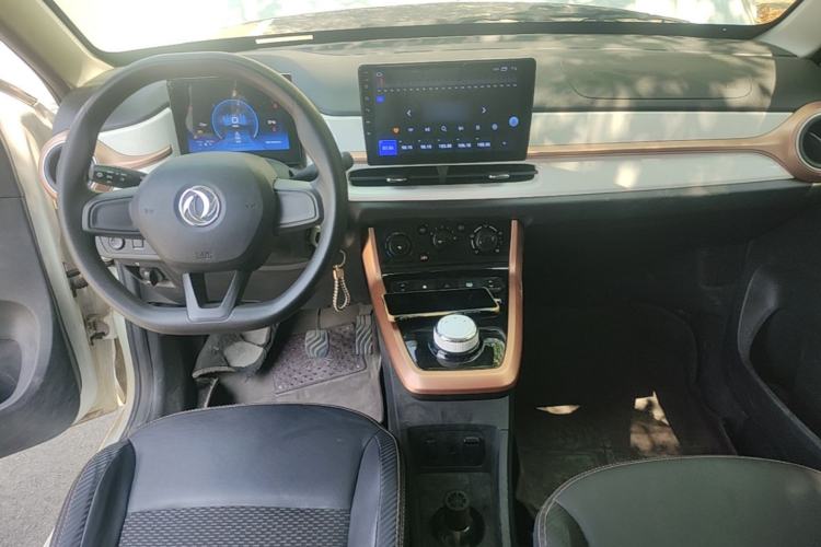 Used Dongfeng NAMMI EX1 2023 PRO Light Wind Edition Lightning Model Center Console