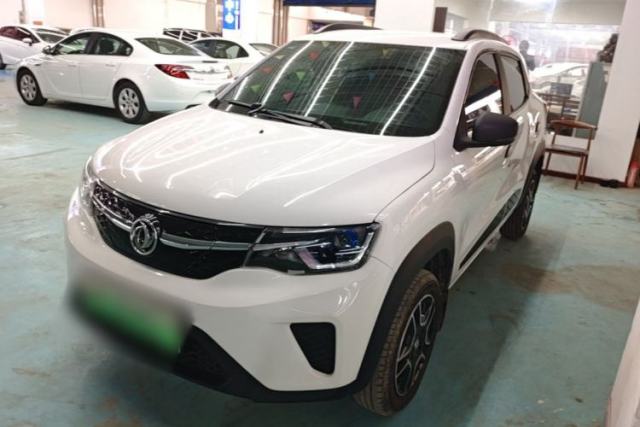 Used Dongfeng NAMMI EX1 2023 PRO Light Wind Edition Lightning Model