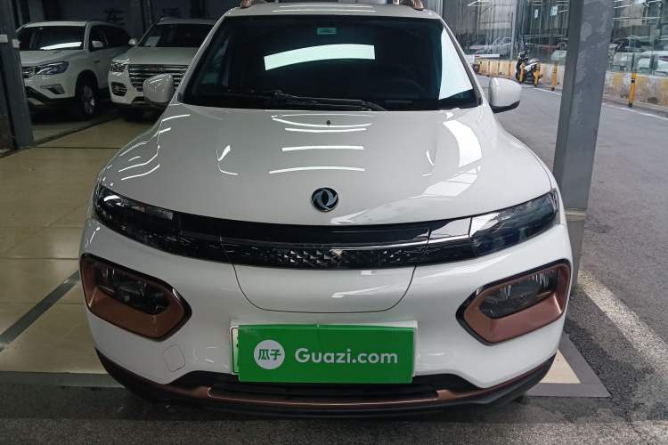 Used Dongfeng NAMMI EX1 2023 PRO Light Wind Edition Lightning Model Exterior 1