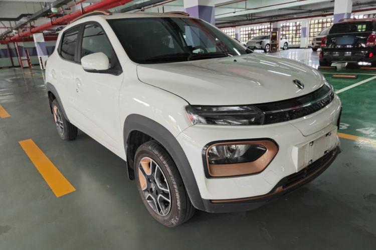 Used Dongfeng NAMMI EX1 2023 PRO Light Wind Edition Lightning Model Exterior 1