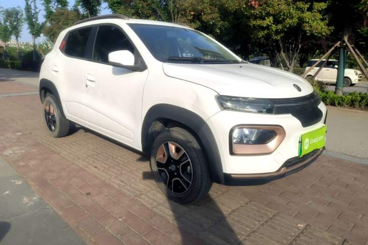 Used Dongfeng NAMMI EX1 2023 PRO Light Wind Edition Lightning Model Exterior 1
