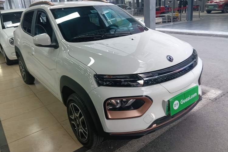 Used Dongfeng NAMMI EX1 2023 PRO Light Wind Edition Lightning Model Exterior 2
