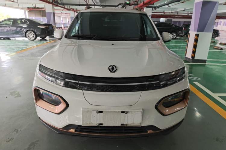 Used Dongfeng NAMMI EX1 2023 PRO Light Wind Edition Lightning Model Front