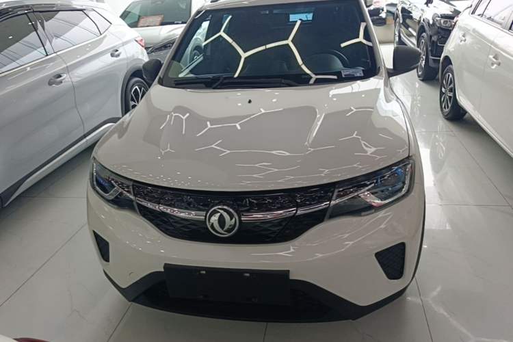 Used Dongfeng NAMMI EX1 2023 PRO Light Wind Edition Lightning Model Front