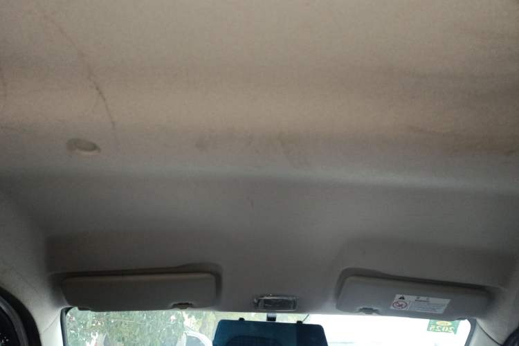 Used Dongfeng NAMMI EX1 2023 PRO Light Wind Edition Lightning Model Headliner