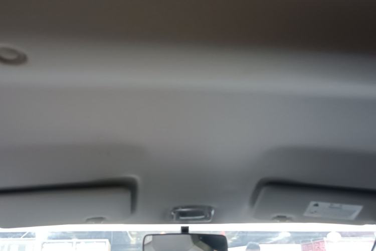 Used Dongfeng NAMMI EX1 2023 PRO Light Wind Edition Lightning Model Headliner