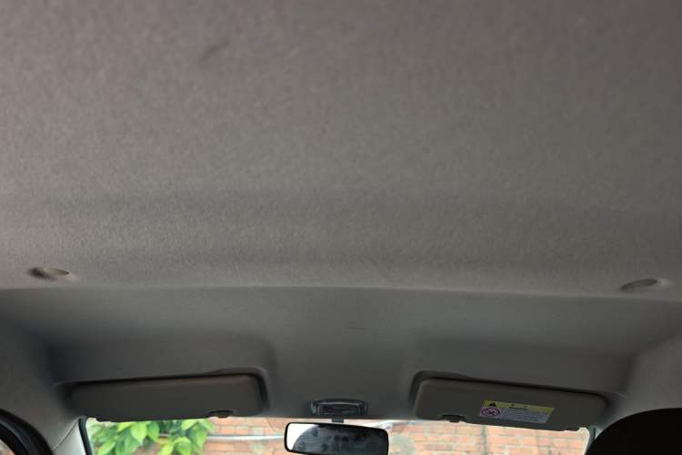 Used Dongfeng NAMMI EX1 2023 PRO Light Wind Edition Lightning Model Headliner