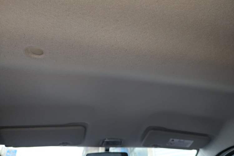 Used Dongfeng NAMMI EX1 2023 PRO Light Wind Edition Lightning Model Headliner