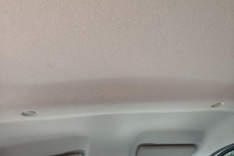 Used Dongfeng NAMMI EX1 2023 PRO Light Wind Edition Lightning Model Headliner