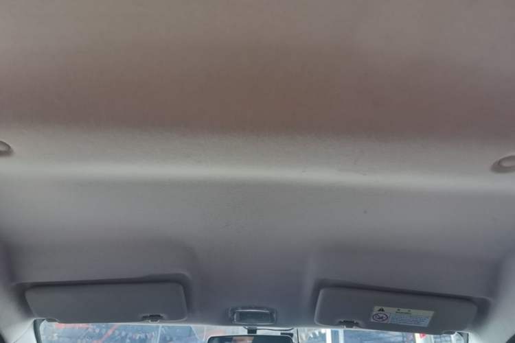 Used Dongfeng NAMMI EX1 2023 PRO Light Wind Edition Lightning Model Headliner