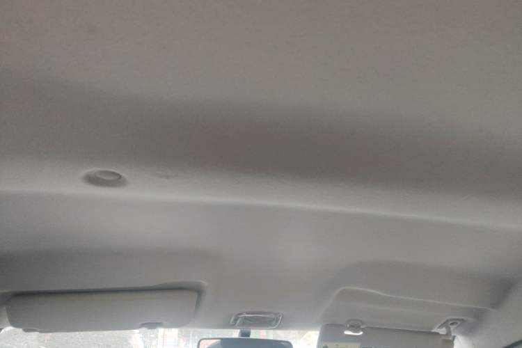Used Dongfeng NAMMI EX1 2023 PRO Light Wind Edition Lightning Model Headliner