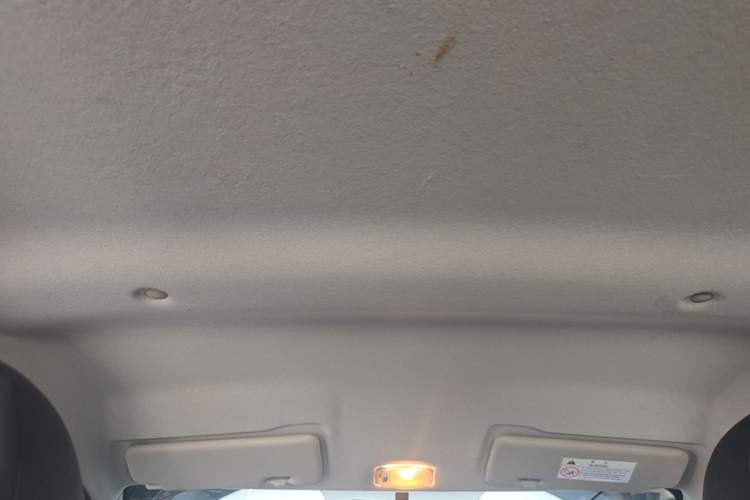 Used Dongfeng NAMMI EX1 2023 PRO Light Wind Edition Lightning Model Headliner
