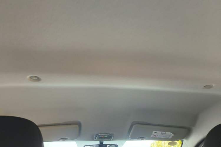 Used Dongfeng NAMMI EX1 2023 PRO Light Wind Edition Lightning Model Headliner