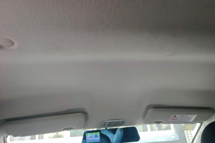 Used Dongfeng NAMMI EX1 2023 PRO Light Wind Edition Lightning Model Headliner
