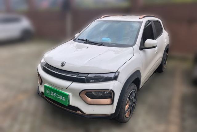 Used Dongfeng NAMMI EX1 2023 PRO Light Wind Edition Lightning Model