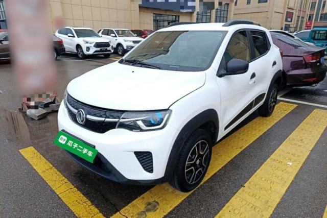 Used Dongfeng NAMMI EX1 2023 PRO Light Wind Edition Lightning Model